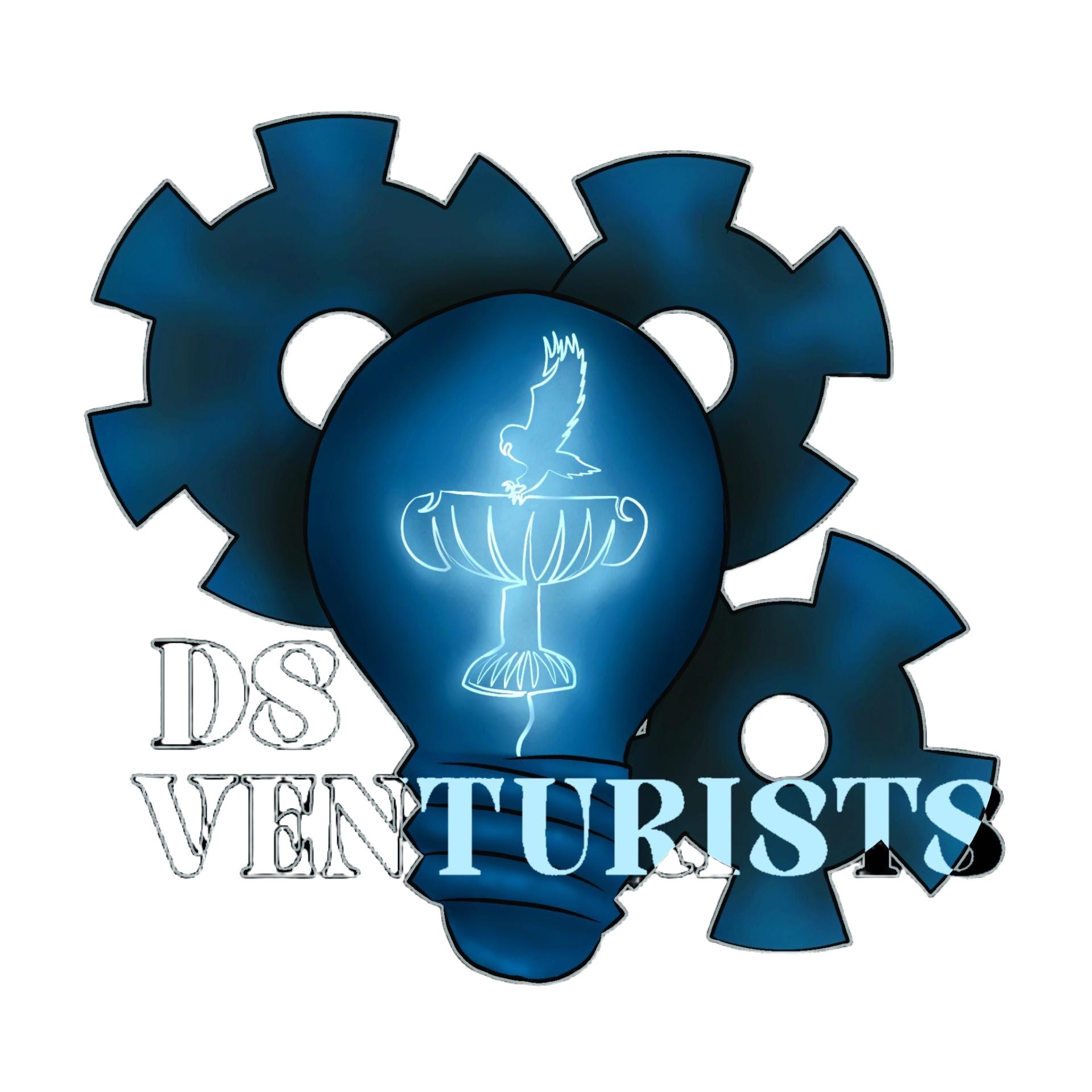 DS Venturists Logo